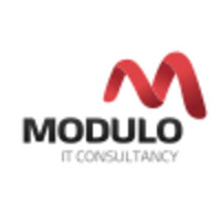 MODULO Consulting Logo