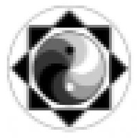 Lifestyle Martial Arts Logo