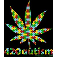 420autism, Inc (non-profit) Logo
