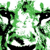 Green Lion Logo