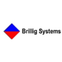 Brillig Systems Logo