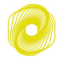 Dorsal.run Logo