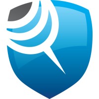 Sting Investigations Inc. Logo