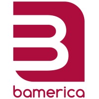 BAMERICA CORP Logo