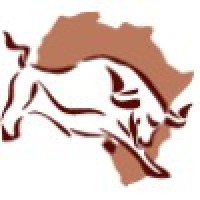 Securities Africa Logo