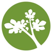 Bethanie Logo
