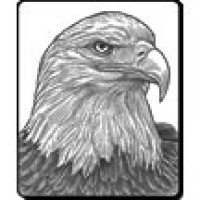 In Search of Eagles Logo