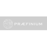 PRAEFINIUM PARTNERS LTD Logo