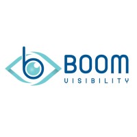 Boom Visibility Logo