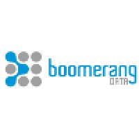 Boomerang Data Logo