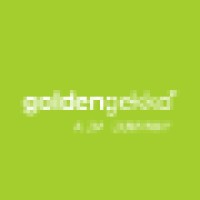 Golden Gekko (A DMI Company) Logo