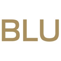 BLU / Real Estate Logo
