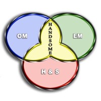HANDSOME Consulting Logo