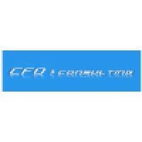 CFO consulting Logo
