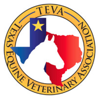 Texas Equine Veterinary Association Logo