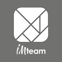 IMteam Logo