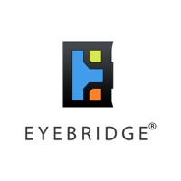 Eyebridge soft solutions Logo