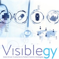 Visiblegy™ Logo