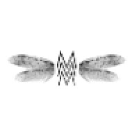 Flying MMM Management Company, L.L.C. Logo