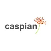 Caspian Logo