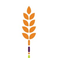 Feeding Tampa Bay Logo