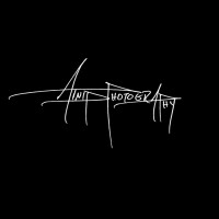 Atnip Photography Logo