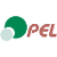 Perfect Electronic Limited Logo