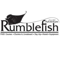 Rumblefish Adventure Co. Ltd Logo
