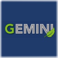 Gemini Logo