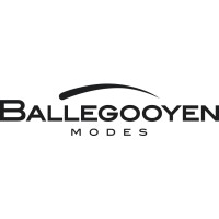 Ballegooyen Modes Logo