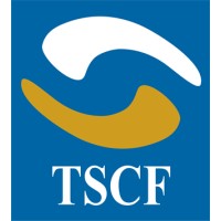 The Social Capital Foundation Logo