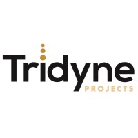 Tridyne Projects Corporation Logo