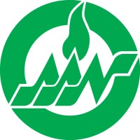 American Academy of Nursing Logo