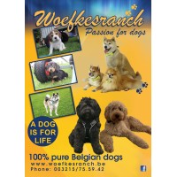 WOEFKESRANCH Logo