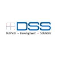 DSS Group Logo