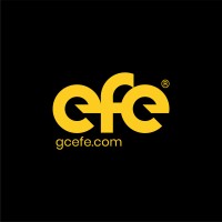 EFE Consulting Group™ Logo