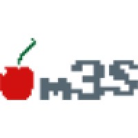 mSSolutionS.it Logo