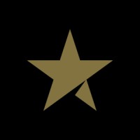 BigStar Business Management Logo