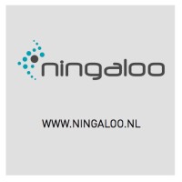 Ningaloo Network Solutions B.V. Logo