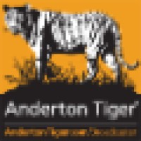 Anderton Tiger Broadcasting Systems Limited Logo