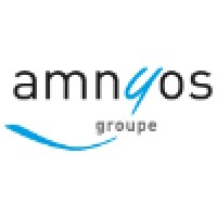 AMNYOS Consultants Logo