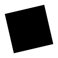 True Logo