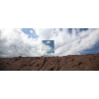 Duncan McCauley Logo