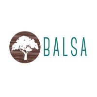 The BALSA Group Logo