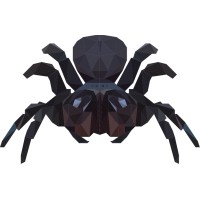 SPIDER NETWORKS LTD. Logo