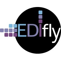 EDIfly - Innovative Software SARL: Smart Aviation Messaging Simply Delivered since 2010 Logo
