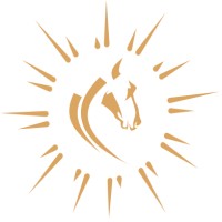 Stable Rise Logo