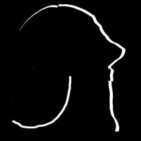 Unknown Penguin, LLC Logo