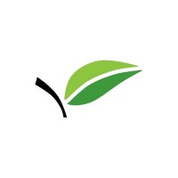Health Designs Logo