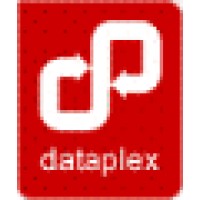 Dataplex Systems Limited Logo